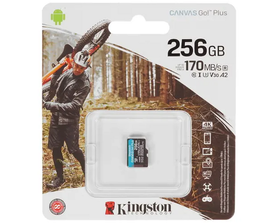  Карта памяти Kingston Canvas Go Plus (SDCG3/256GBSP) microSDXC 256Gb Class10 w/o adapter 
