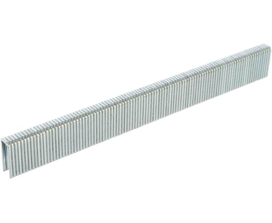  Скобы ЗУБР Профессионал 31855-15 тип 55, 15 мм, 2500 шт 