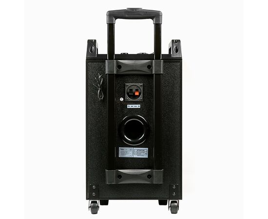  Портативная акустика напольная Dialog Oscar AO-210, микрофон BT (black) (127092) 